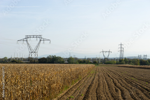 Electrical high voltage pylons with a cornfield in the foreground.