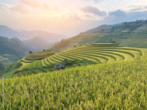 The landscape of the terraced rice fields at Mugang Chai during the farming season in Vietnam.