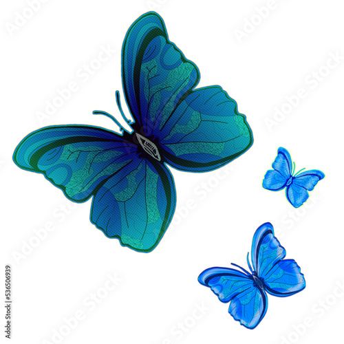 Farfalle colorate che volano photo