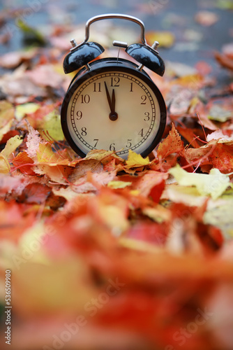 alarm clock on autumn leaves on natural background