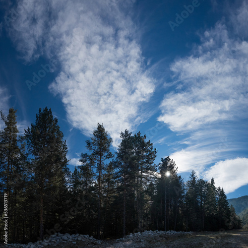Cirrus, or Mare`s tail, clouds over the pine forest. Autumn landscape of Pirin mountains in Bansko, Bulgaria. photo