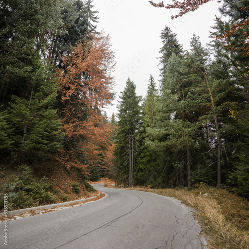 Empty tarred road to Banderishka meadow. Cloudy autumn day in the Pirin mountains near Bansko, Bulgaria photo