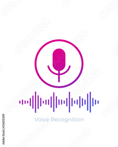 Voice and audio recognition vector icon