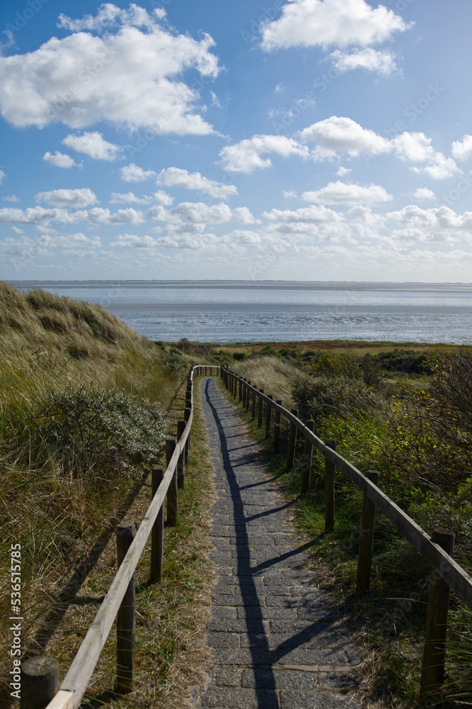 Stone pathway through the dunes on Ameland Island, Netherlands. Pathway to the beach. Dutch seaside landscape scene. Ameland Island's highest dune. Small picturesque clouds over a stone pathway. 