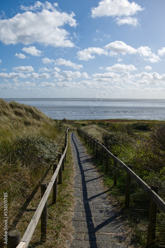 Stone pathway through the dunes on Ameland Island, Netherlands. Pathway to the beach. Dutch seaside landscape scene. Ameland Island's highest dune. Small picturesque clouds over a stone pathway.  © Philipp