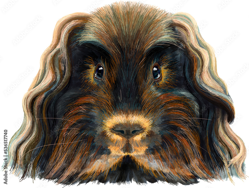 Naklejka premium Watercolor portrait of Merino guinea pig