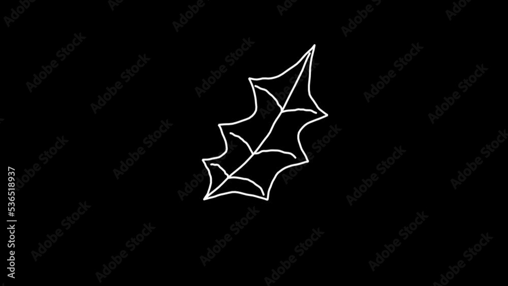 Leaves Christmas Elements Doodle Animation Alpha Background Leaves Christmas Elements Doodle Animation Alpha Background