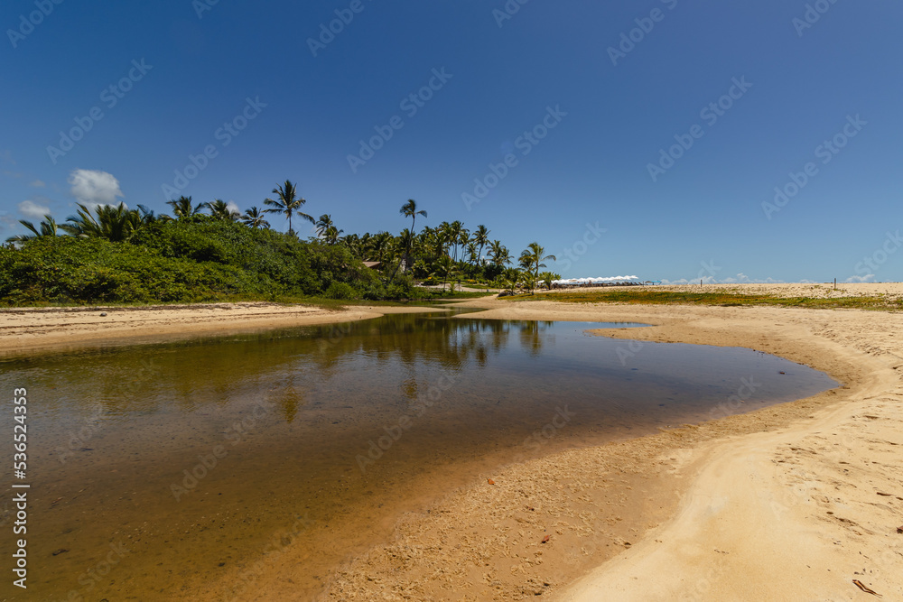 natural landscape in the district of Trancoso in the city of Porto Seguro, State of Bahia, Brazil natural landscape in the district of Trancoso in the city of Porto Seguro, State of Bahia, Brazil