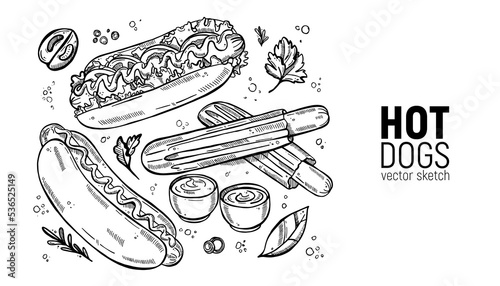 Set of street food. Fast food, hot dog, classic and with vegetables, sauce, ketchup. Hand drawing sketches