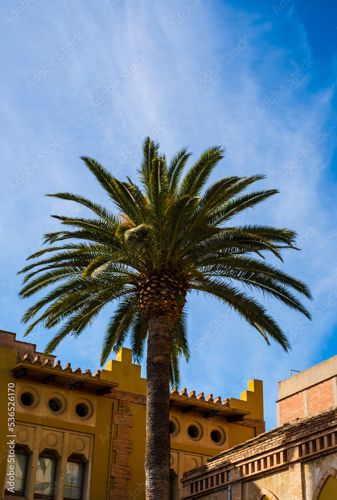 Building, palm trees and a sunny blue sky