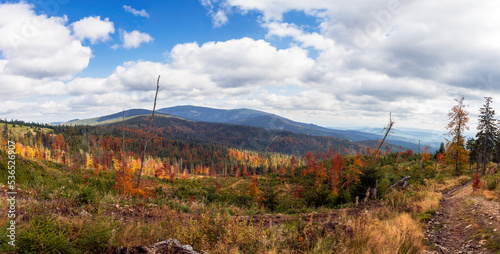 Fototapeta Naklejka Na Ścianę i Meble -  Mountains in the fall. Mountain panorama full of autumn colors. Żywiec Beskids, Poland