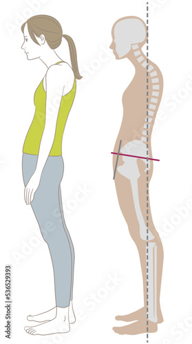 猫背、スウェイバックの姿勢で立つ横向きの女性と骨格