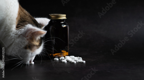 White young cat sits on the table and eats a pill, on a dark background, space for text, banner