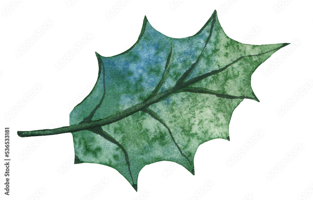Watercolor Christmas Holly leaf. Green and blue textures. Cut out hand