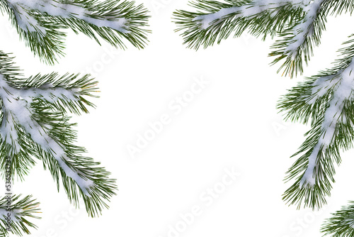 Christmas tree in the snow isolated on a white background. greeting card.