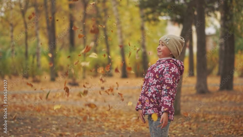 the child holds a bunch of yellow leaves of a tree in his hands and throws it up. live video the child holds a bunch of yellow leaves of a tree in his hands and throws it up. live video