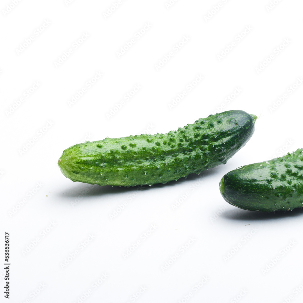 cucumber on a white background cucumber on a white background