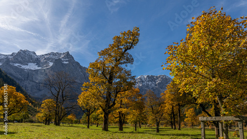 Fototapeta Naklejka Na Ścianę i Meble -  Bäume im Herbst im Hintergrund Berge mit Schnee