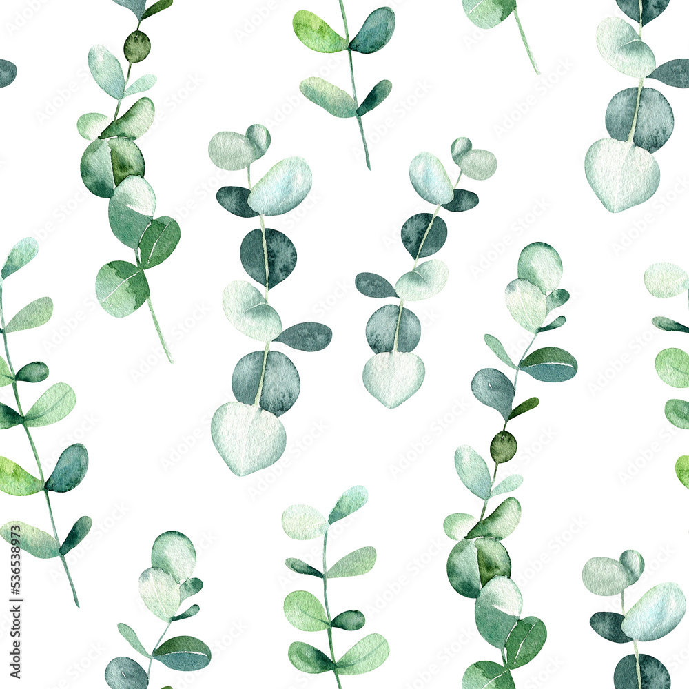 Watercolor eucalyptus seamless pattern. White background. Elegant floral design. Spring botanical print. Nature ornament. Green floral wallpaper.