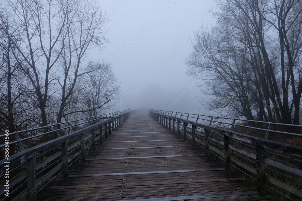 Wooden bridge disappears in thick fog Wooden bridge disappears in thick fog