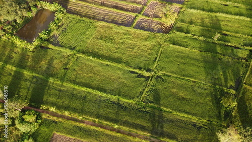 Image of beautiful Terraced rice field in water season and Irrigation from drone,Top view of rices paddy field,nan,thailand