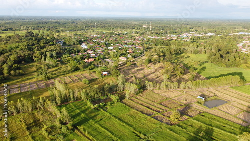 Fototapeta Naklejka Na Ścianę i Meble -  Image of beautiful Terraced rice field in water season and Irrigation from drone,Top view of rices paddy field,nan,thailand