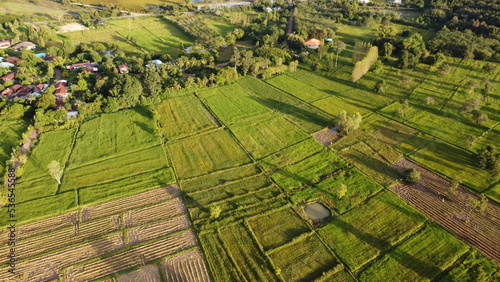 Image of beautiful Terraced rice field in water season and Irrigation from drone Top view of rices paddy field nan thailand