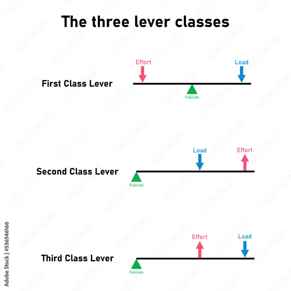 The Three Lever Classes Simple Machines Classes Of Levers Diagram 