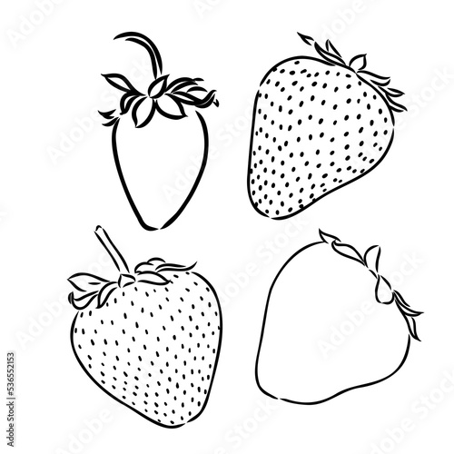 Strawberry hand drawn engraving isolated vector illustration. Pair garden fresh berries sketch. Organic healthy food black line on white background