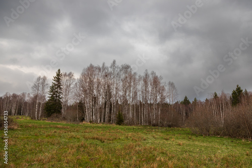 Sumava protected landscape area in the Czech Republic in Europe. Area Chalupska slat - forests, meadows, path to slat. photo