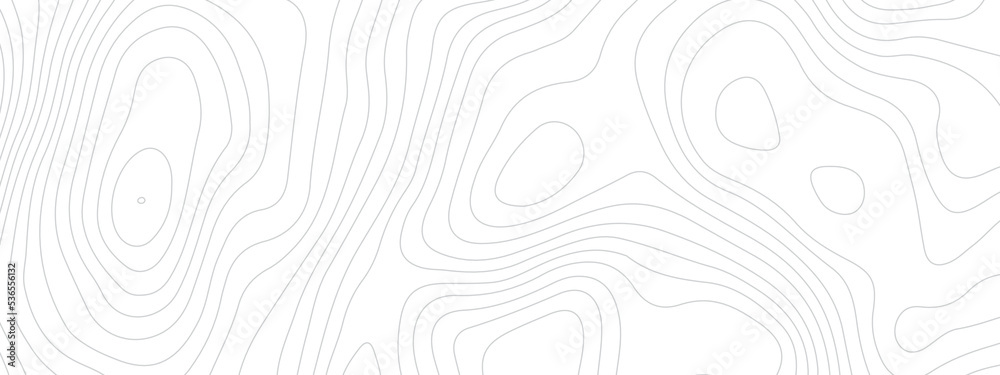 Black and white wave abstract topographic map contour, lines Pattern background. Topographic map and landscape terrain texture grid. Wavy banner and color geometric form. Vector illustration.