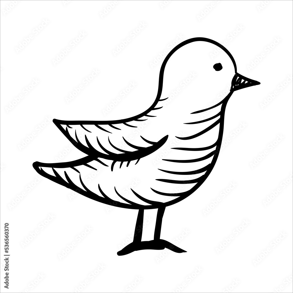 art illustration abstract hand draw vector symbol icon of little bird art illustration abstract hand draw vector symbol icon of little bird