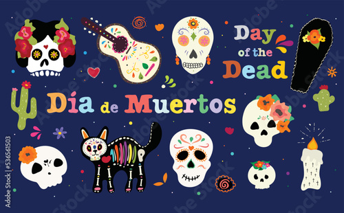 Vector of the day of the dead. Dia De Muertos vector. 