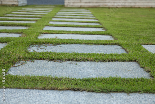 Obraz na plátně garden with green grass background