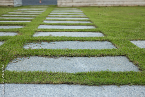 Fotografie garden with green grass background