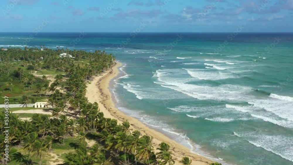 Bounty and pristine tropical shore with coconut palm trees and turquoise caribbean sea. Beautiful landscape. Aerial view from drone Bounty and pristine tropical shore with coconut palm trees and turquoise caribbean sea. Beautiful landscape. Aerial view from drone