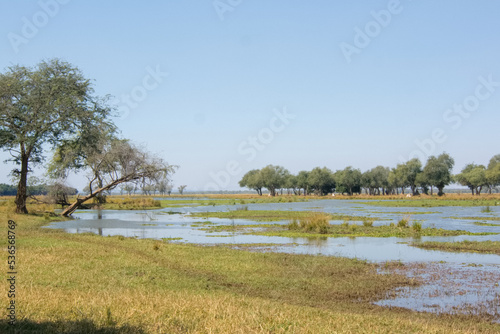 Swamps in Lower Zambezi National Park, Zambia