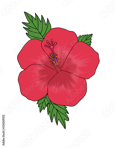 Bunga Raya Merdeka Clipart