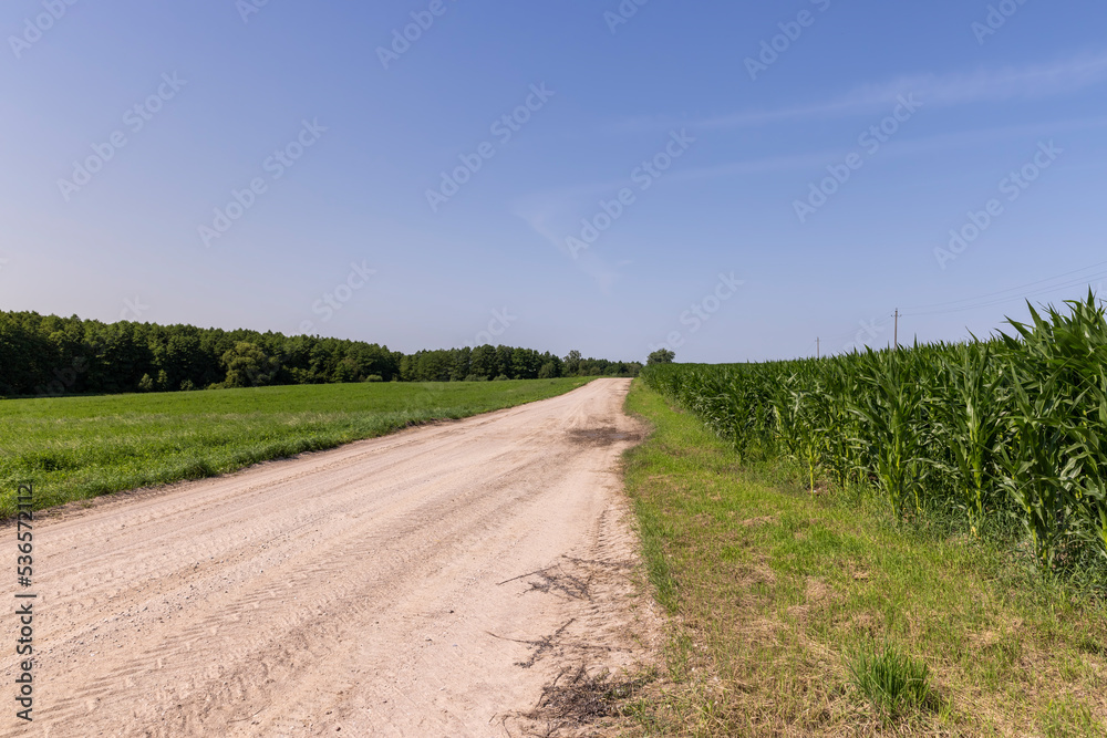 Dirt road in the field