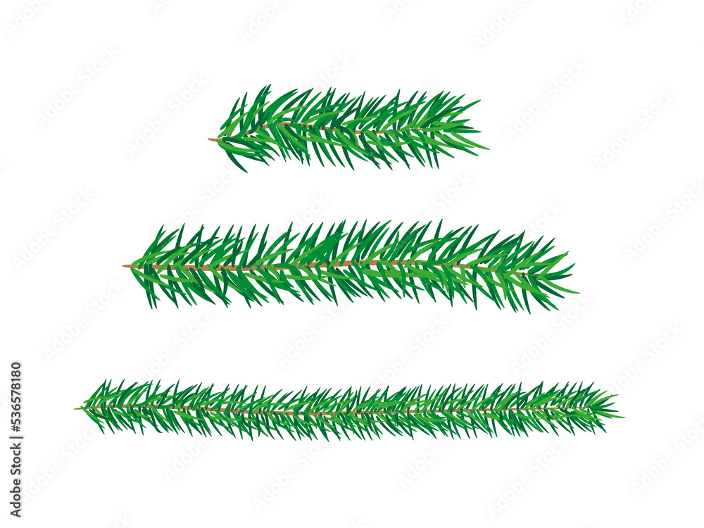 Green fir, pine branch, twig. Isolated png illustration, transparent background. Asset for art brush, stamp, flourish design, Christmas wreath, pattern, cards, montage, collage or mark making. Green fir, pine branch, twig. Isolated png illustration, transparent background. Asset for art brush, stamp, flourish design, Christmas wreath, pattern, cards, montage, collage or mark making.
