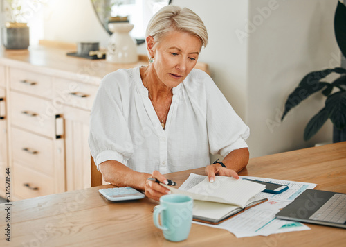 Schedule, documents and finance with a senior woman planning for her future retirement with savings, investment and wealth. Notebook, writing and laptop with an elderly female pensioner at home
