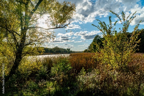 Obraz na płótnie Early Autumn Foliage at Orland Grove Nature Preserve early in the evening before dusk w salonie