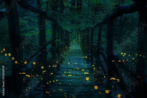Obraz na płótnie Fireflies flying over a wooden bridge in the forest at twilight. w salonie