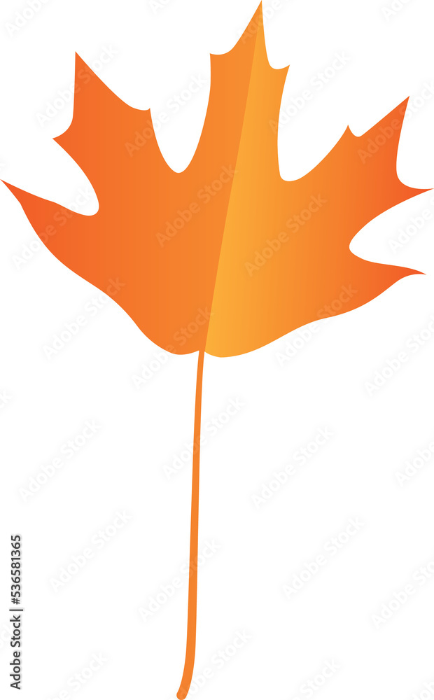 Obraz premium Gradiant Color Maple Leaf Fall