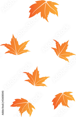 Gradiant Color Maple Leaf Fall