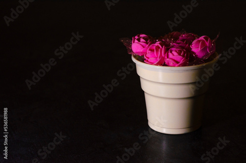 Pink flowers in pots. Pink color flower isolated on black background.
