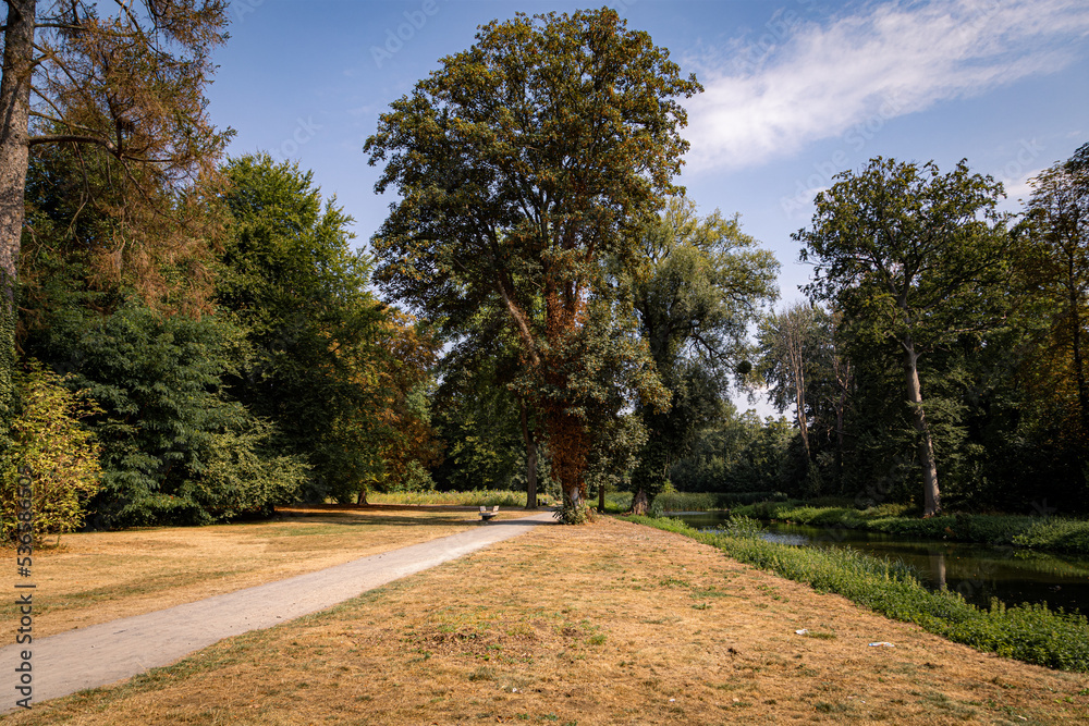 Park view with trees during summer dryness