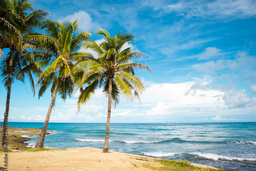 Fototapeta Naklejka Na Ścianę i Meble -  Playa tropical
