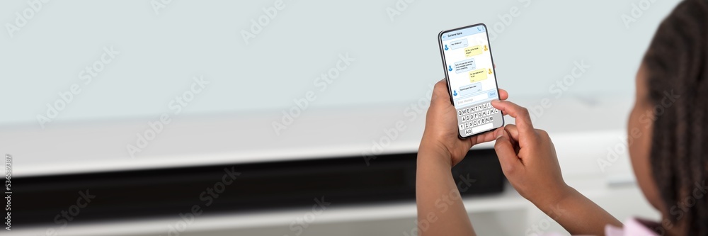 Girl Using Smart Phone Girl Using Smart Phone