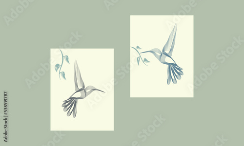 Colibri with a tree branch